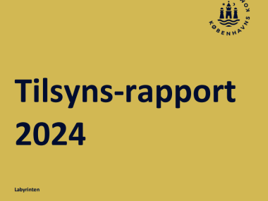 Tilsyns-rapport billede